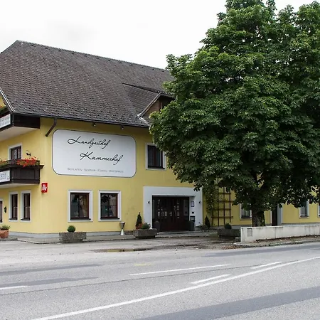 Landgasthof Kammerhof Hotell 3*
